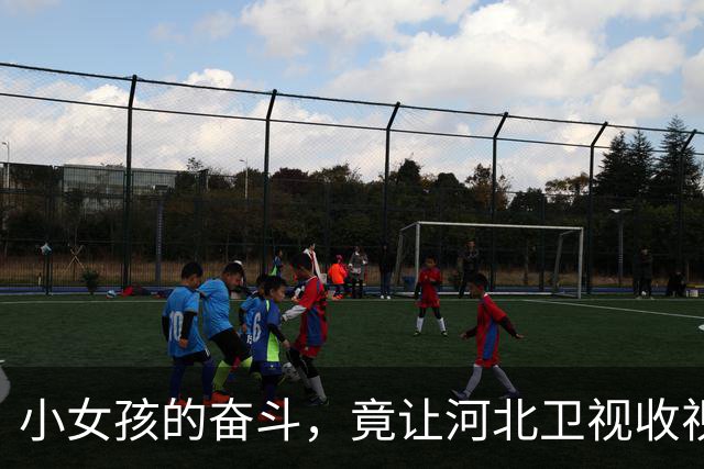 小女孩的奋斗，竟让河北卫视收视飙升！