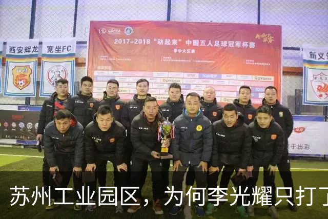 苏州工业园区，为何李光耀只打了 70 分 ？